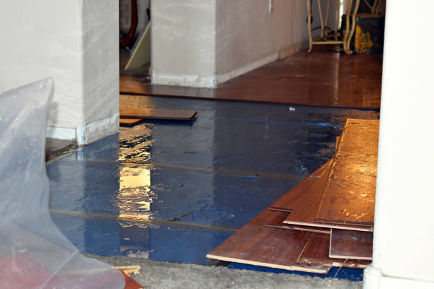 Professional Burst Pipe Cleanup technician working in Pottersville, NJ